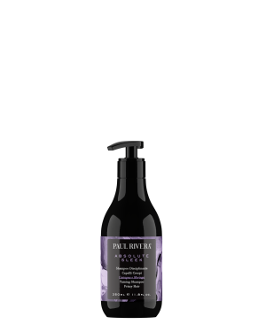 Paul Rivera | Absolute Sleek - Temmende shampoo
