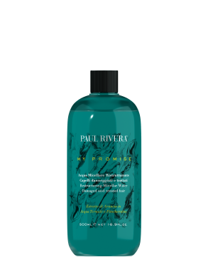 Paul Rivera | My Promise - Herstellend micellar water